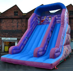 30ft Princess Inflatable Dry Slide, Faires Slide Fioletowy Giant Bouncy Slide